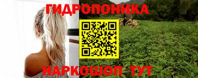 каннабис Северобайкальск