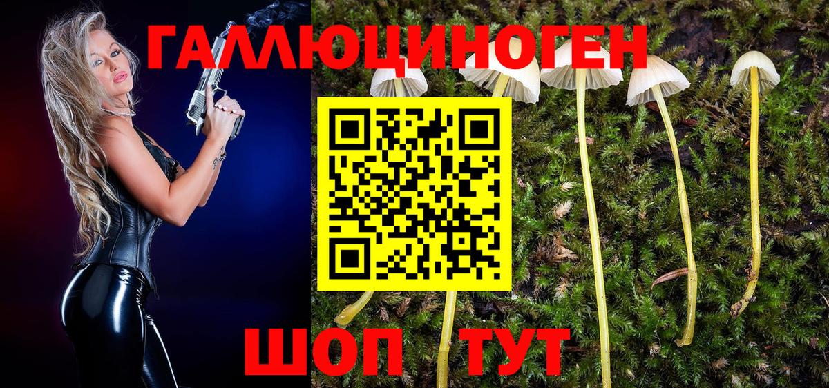Прокопьевск  Псилоцибиновые грибы мухоморы  Вход с VPN 